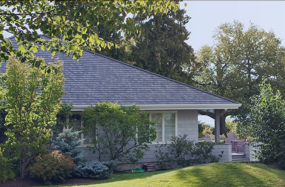 House Surrounded by Trees