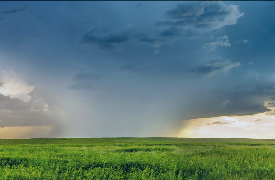 Tornado Over Grass Field